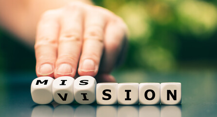 Vision Image